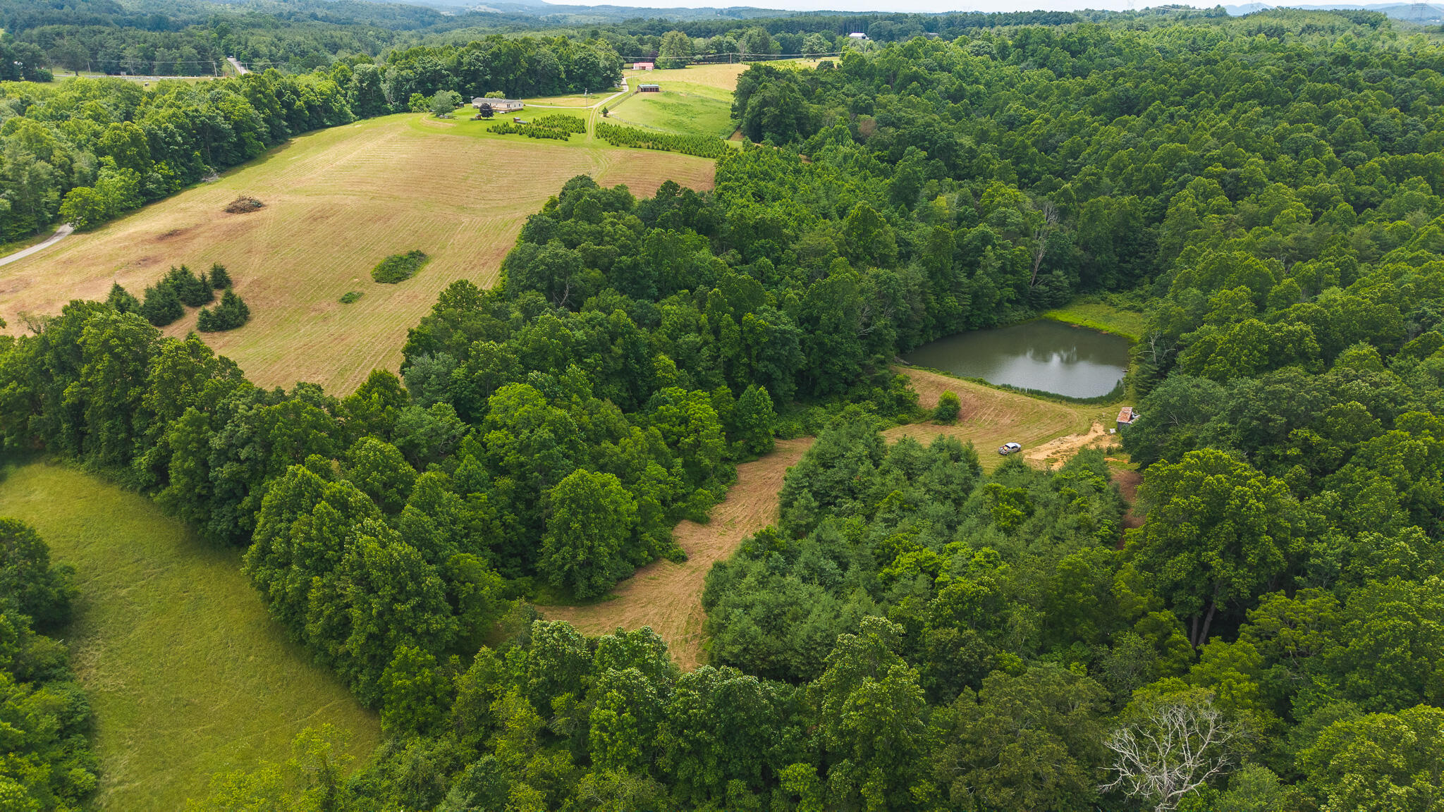 0 Ferney Creek Road Northwest Willis, VA 24380 - Photo 25 of 29 DJI_20250618133720_0431_D