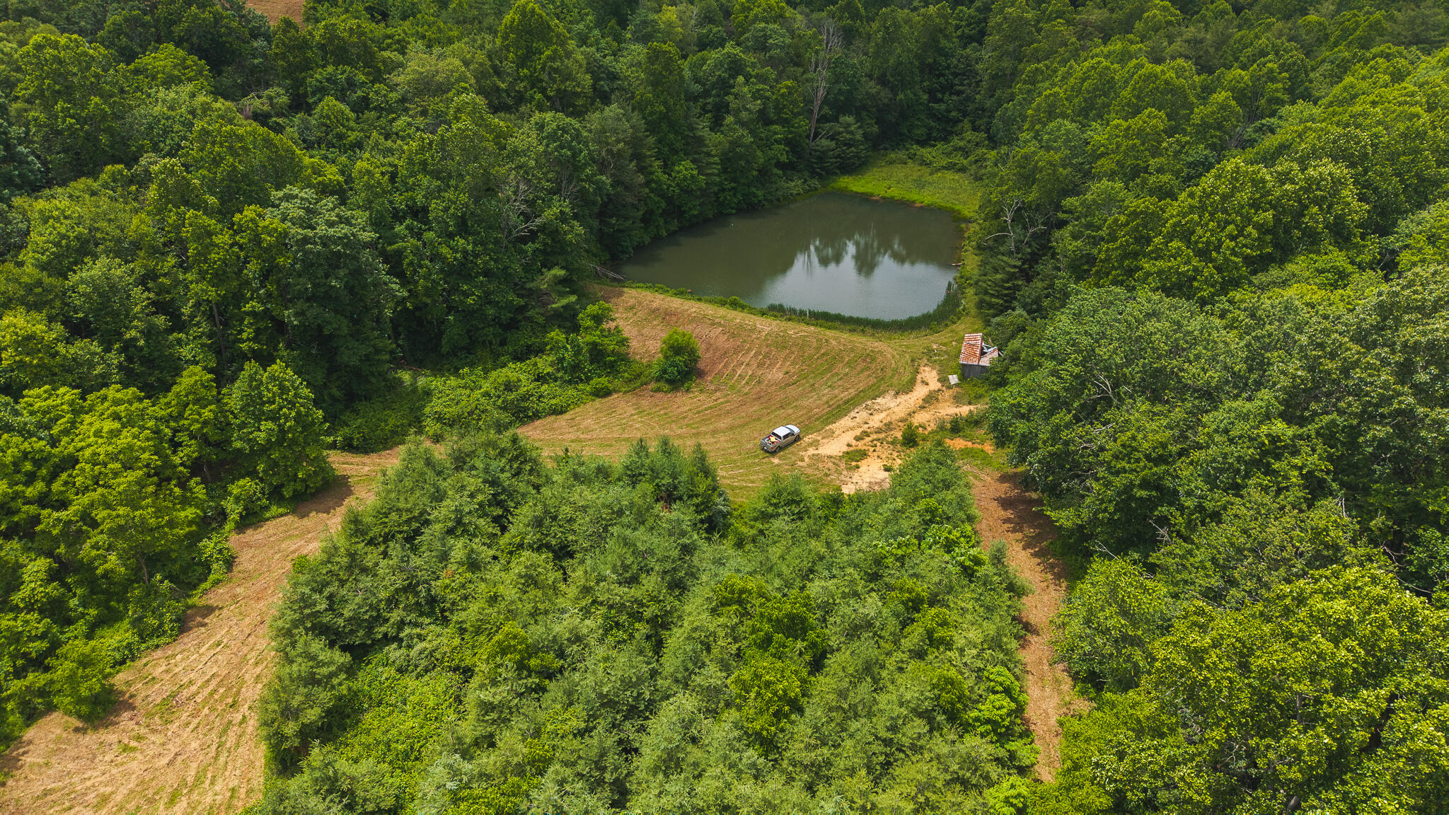 0 Ferney Creek Road Northwest Willis, VA 24380 - Photo 27 of 29 DJI_20250618133819_0435_D