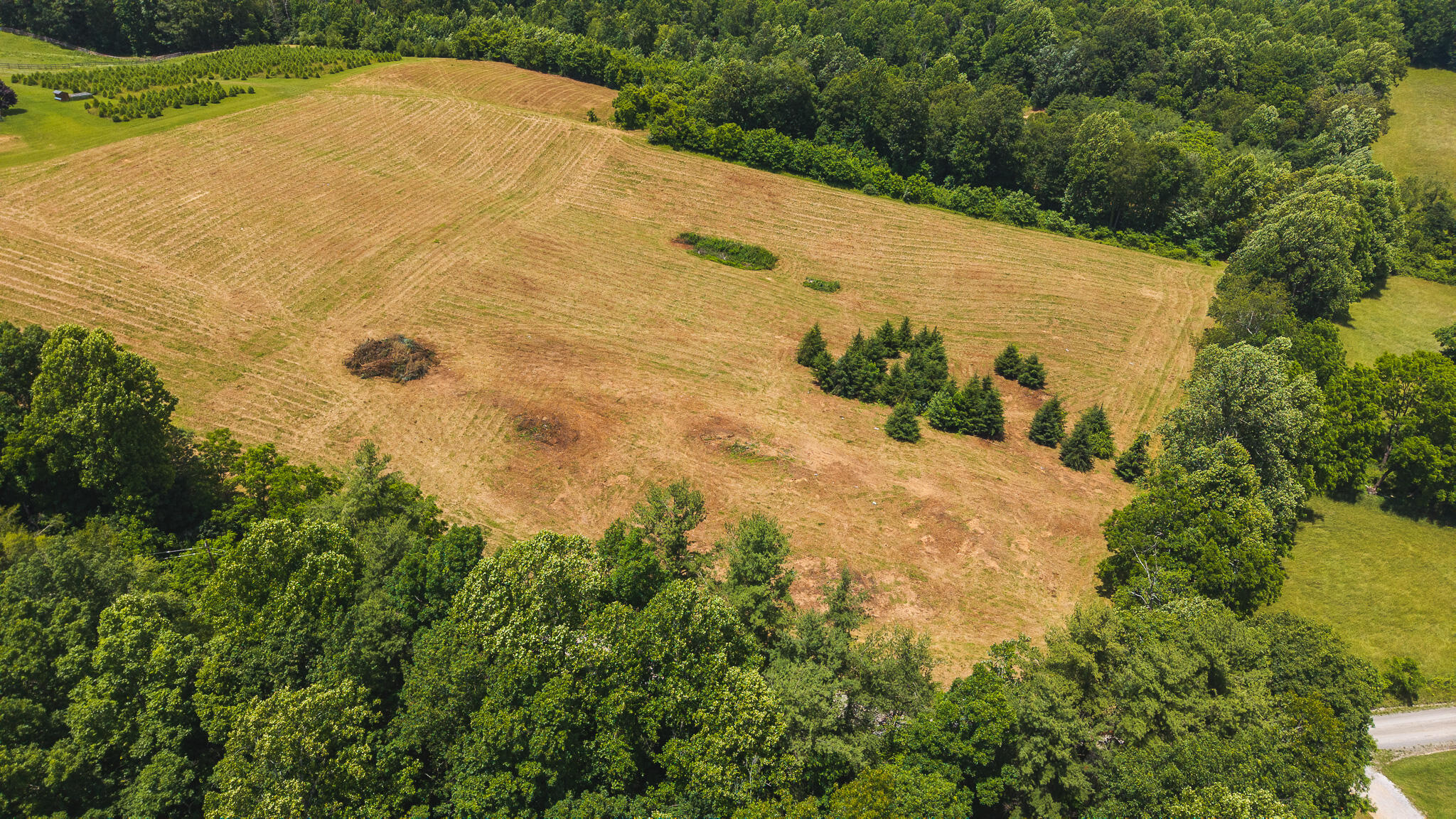 0 Ferney Creek Road Northwest Willis, VA 24380 - Photo 29 of 29 DJI_20250618135200_0437_D