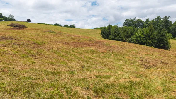 $274,500 | 0 Ferney Creek Road Northwest, Willis, VA 24380