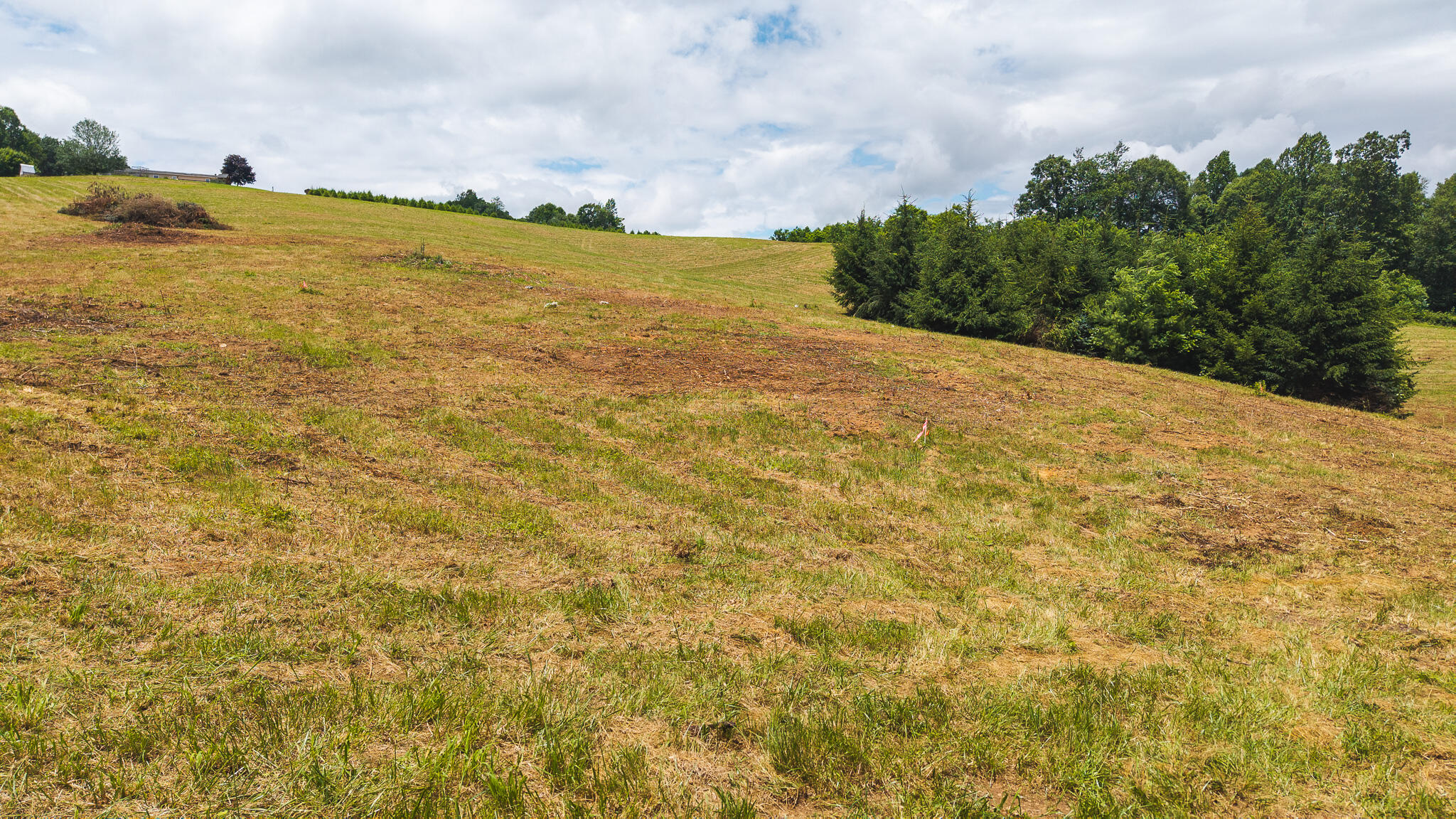 0 Ferney Creek Road Northwest Willis, VA 24380 - Photo 4 of 29 DJI_20250618131751_0381_D