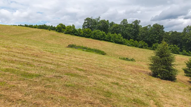 $289,000 | 0 Ferney Creek Road Northwest, Willis, VA 24380