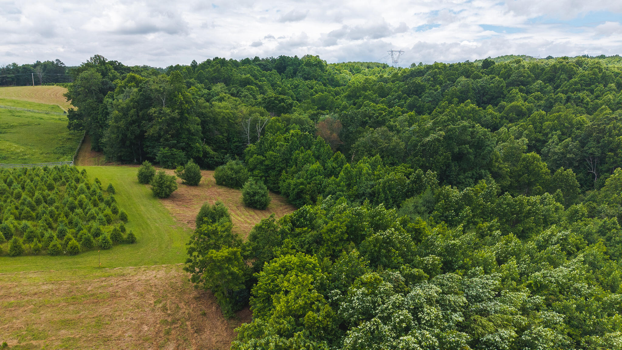 0 Ferney Creek Road Northwest Willis, VA 24380 - Photo 9 of 29 DJI_20250618132121_0389_D