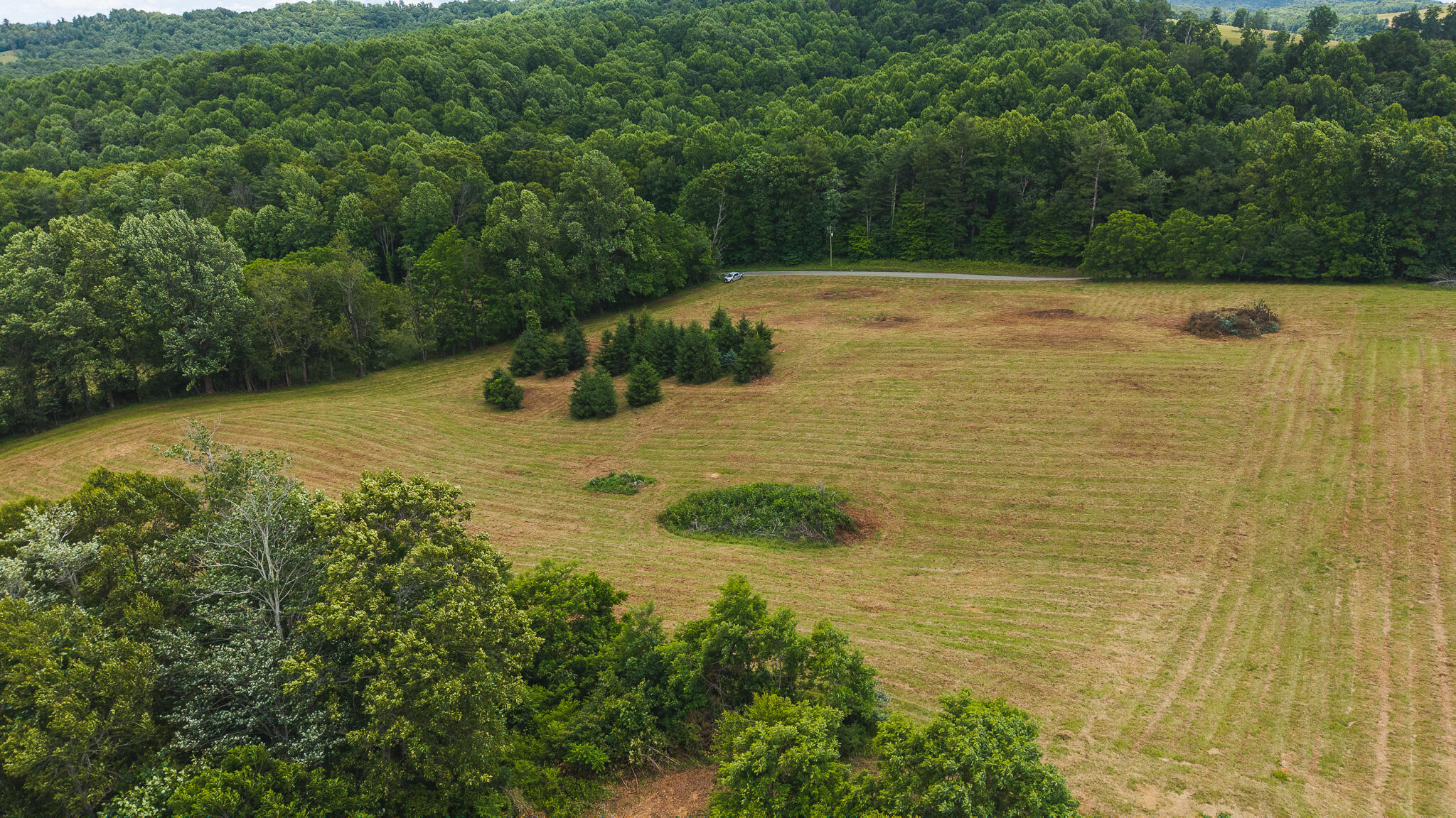 0 Ferney Creek Road Northwest Willis, VA 24380 - Photo 10 of 29 DJI_20250618132228_0392_D