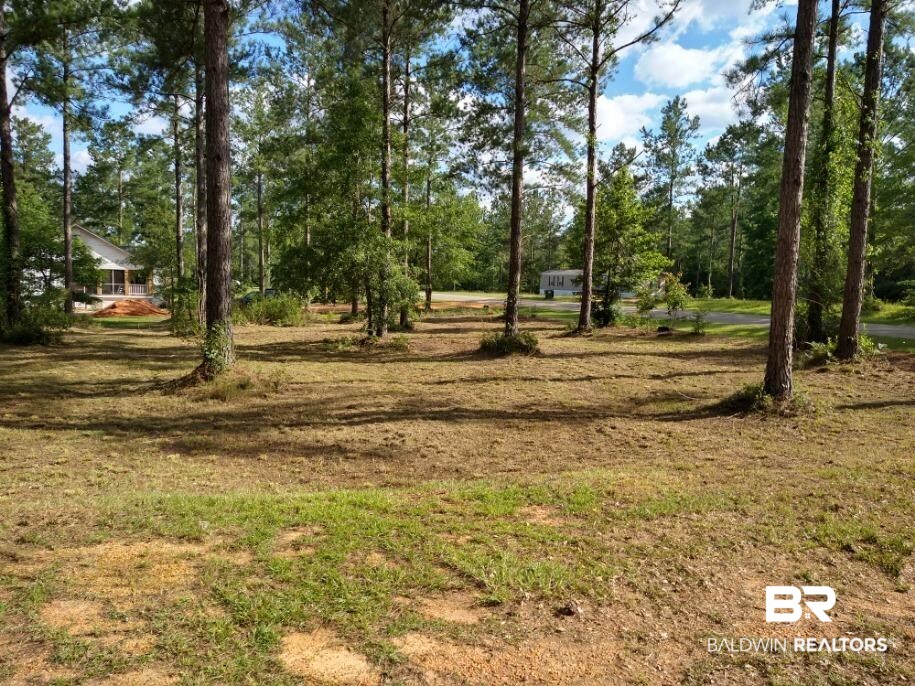 50972 Dyas Road Bay Minette, AL 36507 - Photo 1 of 7 Gallery Image 1