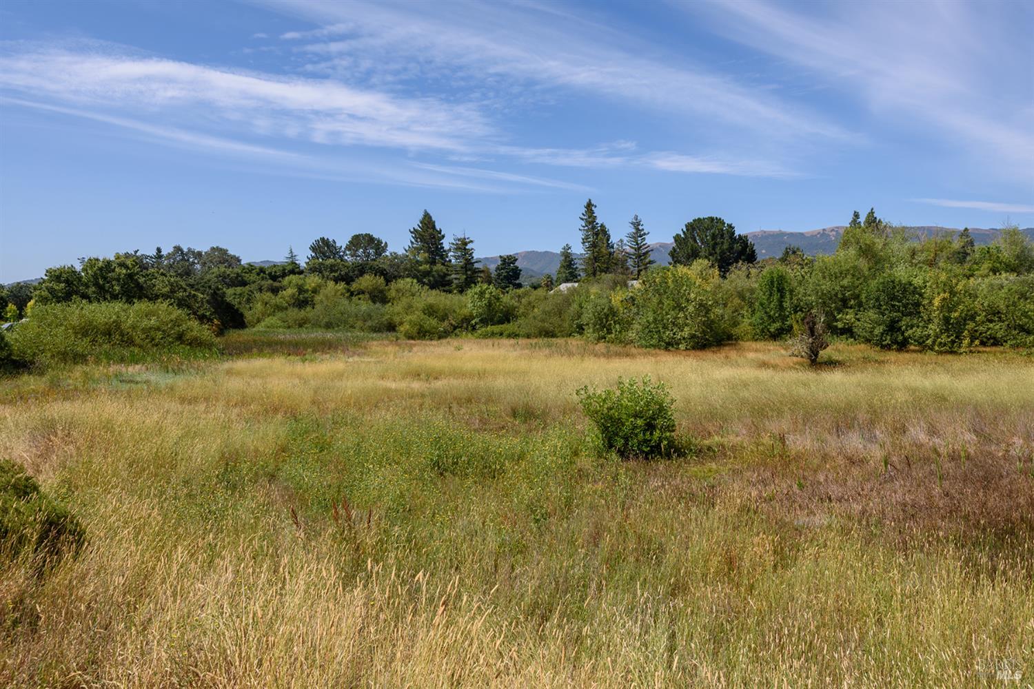 222 Seagull Row Novato, CA 94945 - Photo 22 of 23