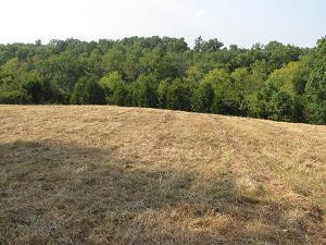 470 Gritton Road Salvisa, KY 40372 - Photo 91 of 96 Photo 93