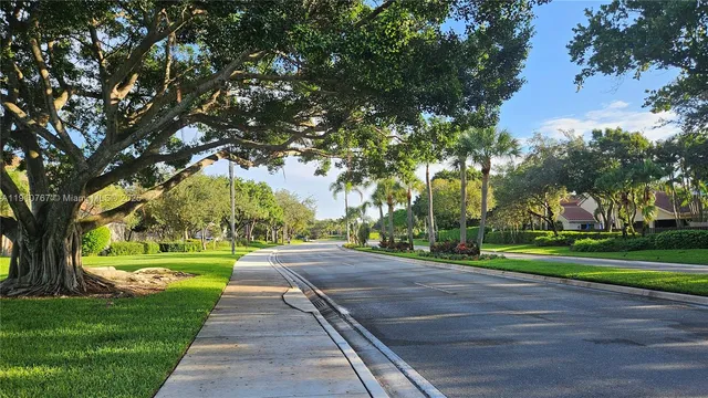 a street view with large trees