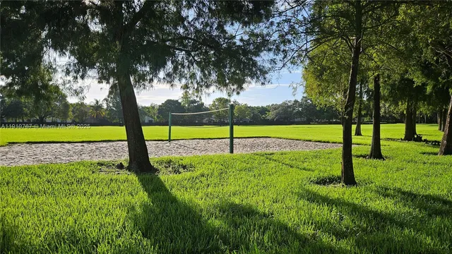 a view of a park with a tree