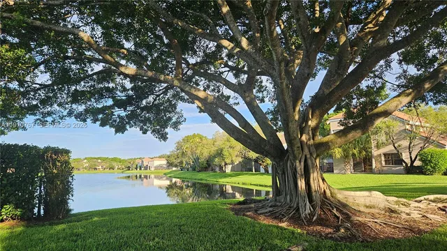 a view of a garden with a building in the background