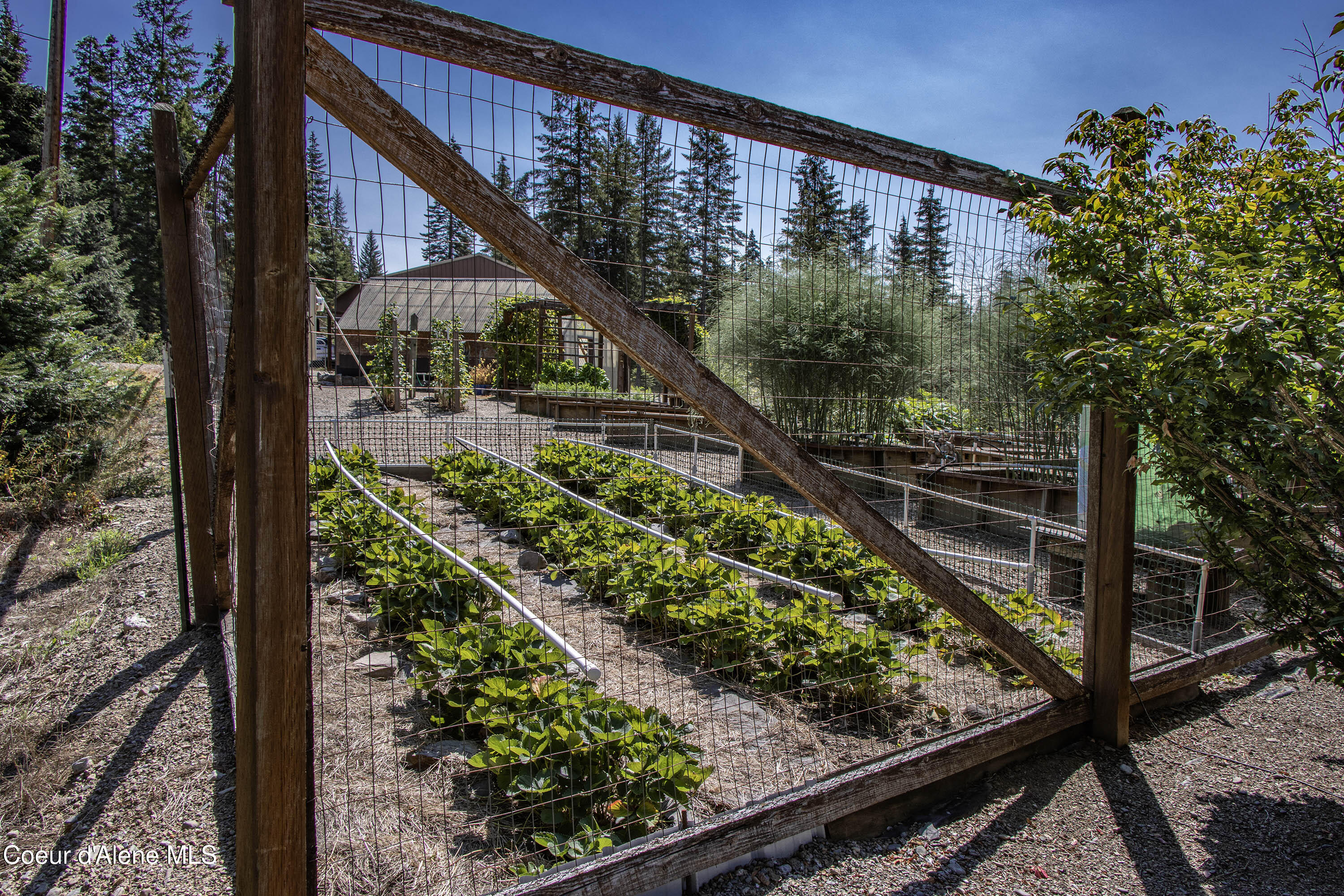 708 Blue Slide Road Thompson Falls, MT 59873 - Photo 48 of 66 IMG_3804