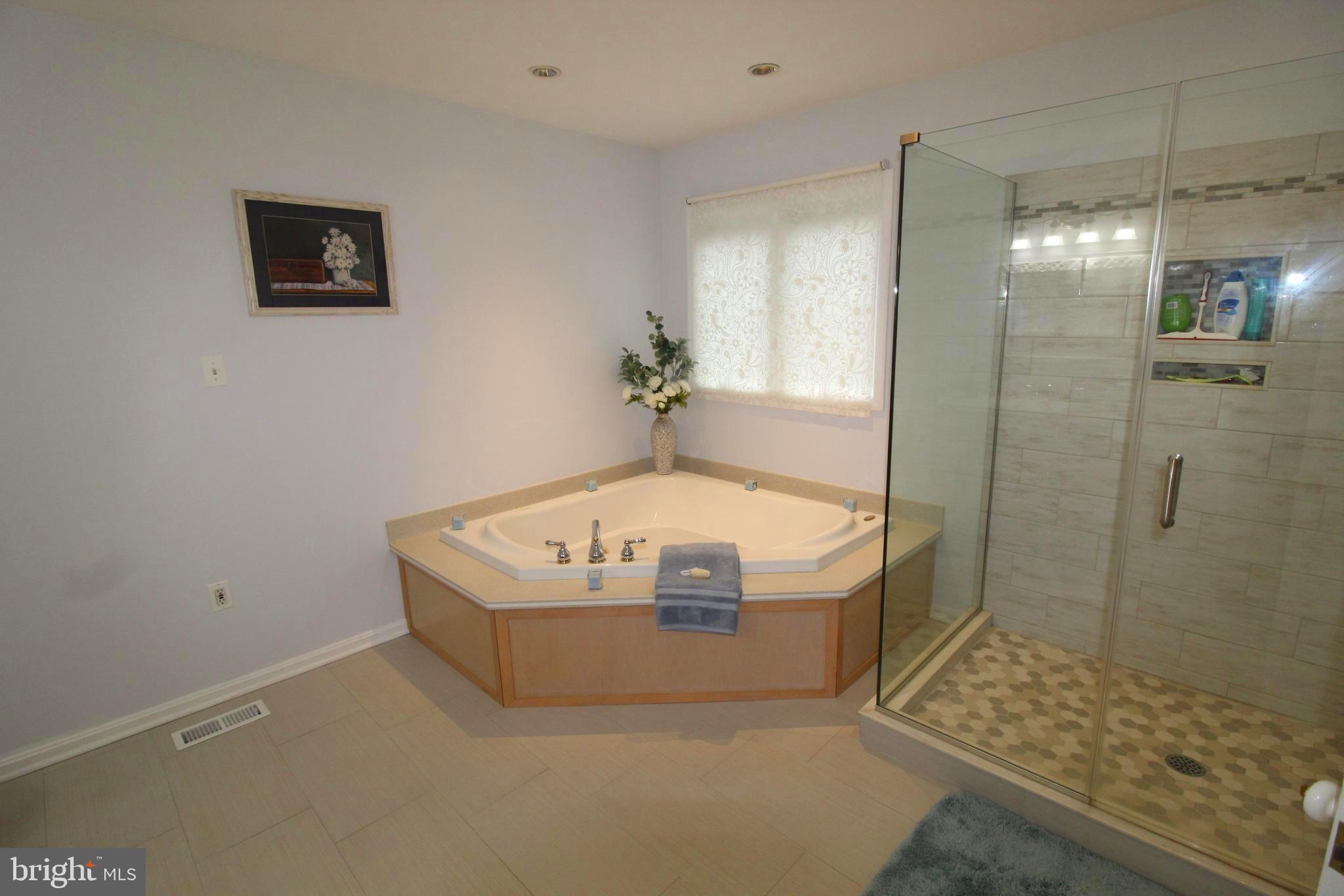 3513 Ensors Shop Road Midland, VA 22728 - Photo 23 of 54 Master bath