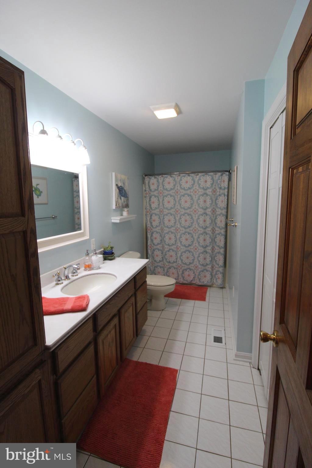 3513 Ensors Shop Road Midland, VA 22728 - Photo 33 of 54 Hall bath