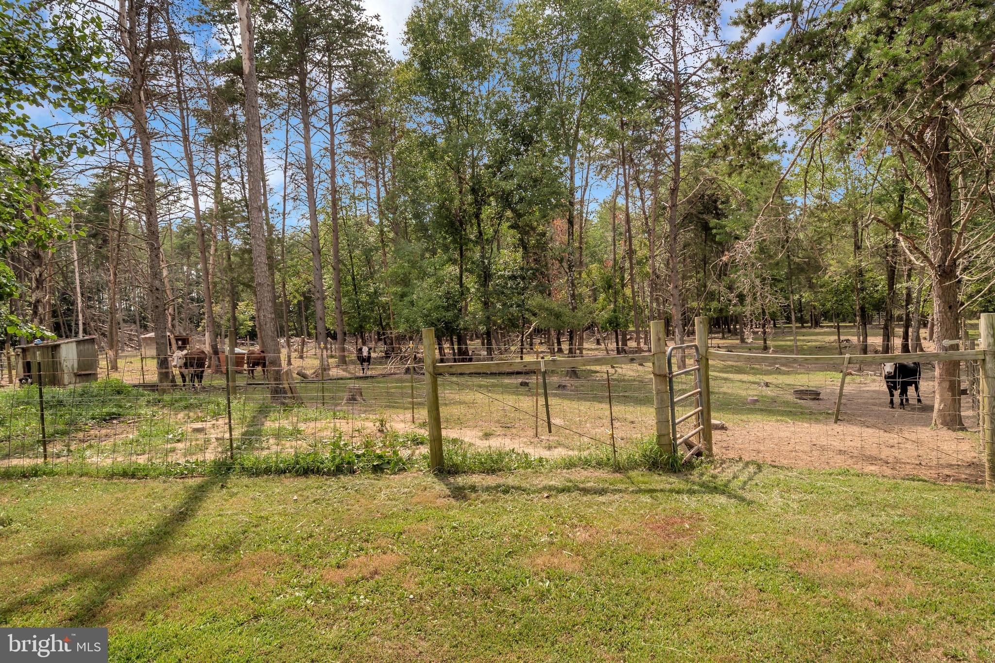 3513 Ensors Shop Road Midland, VA 22728 - Photo 45 of 54 Gallery Image 45