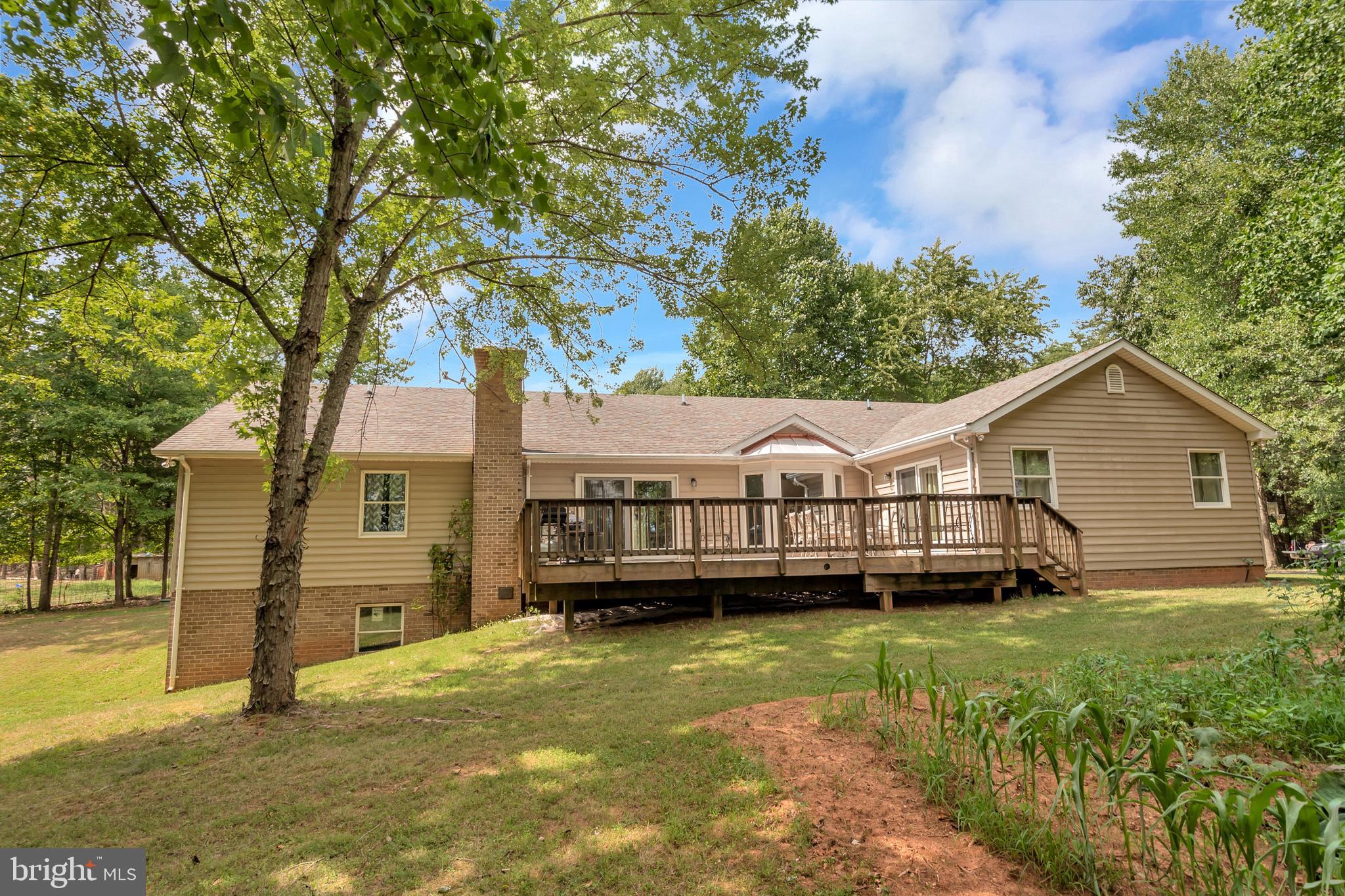 3513 Ensors Shop Road Midland, VA 22728 - Photo 48 of 54 Peaceful back yard