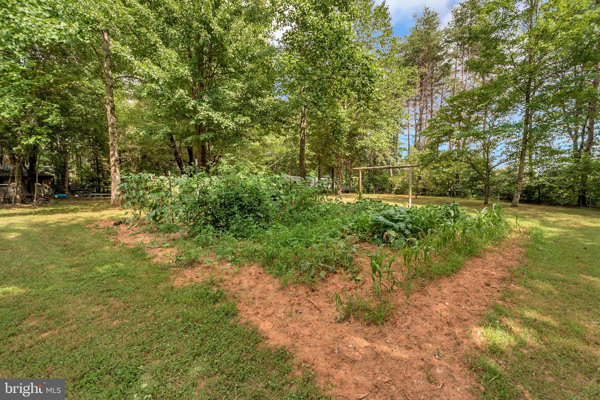 3513 Ensors Shop Road Midland, VA 22728 - Photo 52 of 54 Fresh Veggies!!