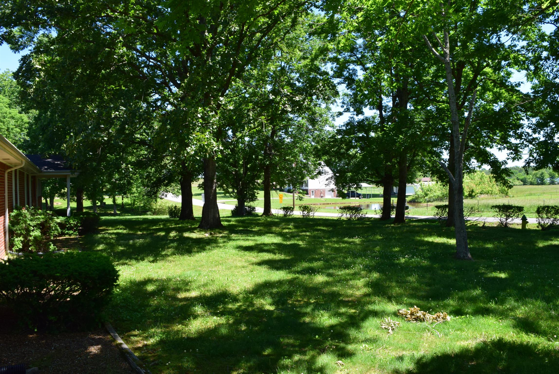 116 Black Road Dickson, TN 37055 - Photo 20 of 21 a view of green field with trees