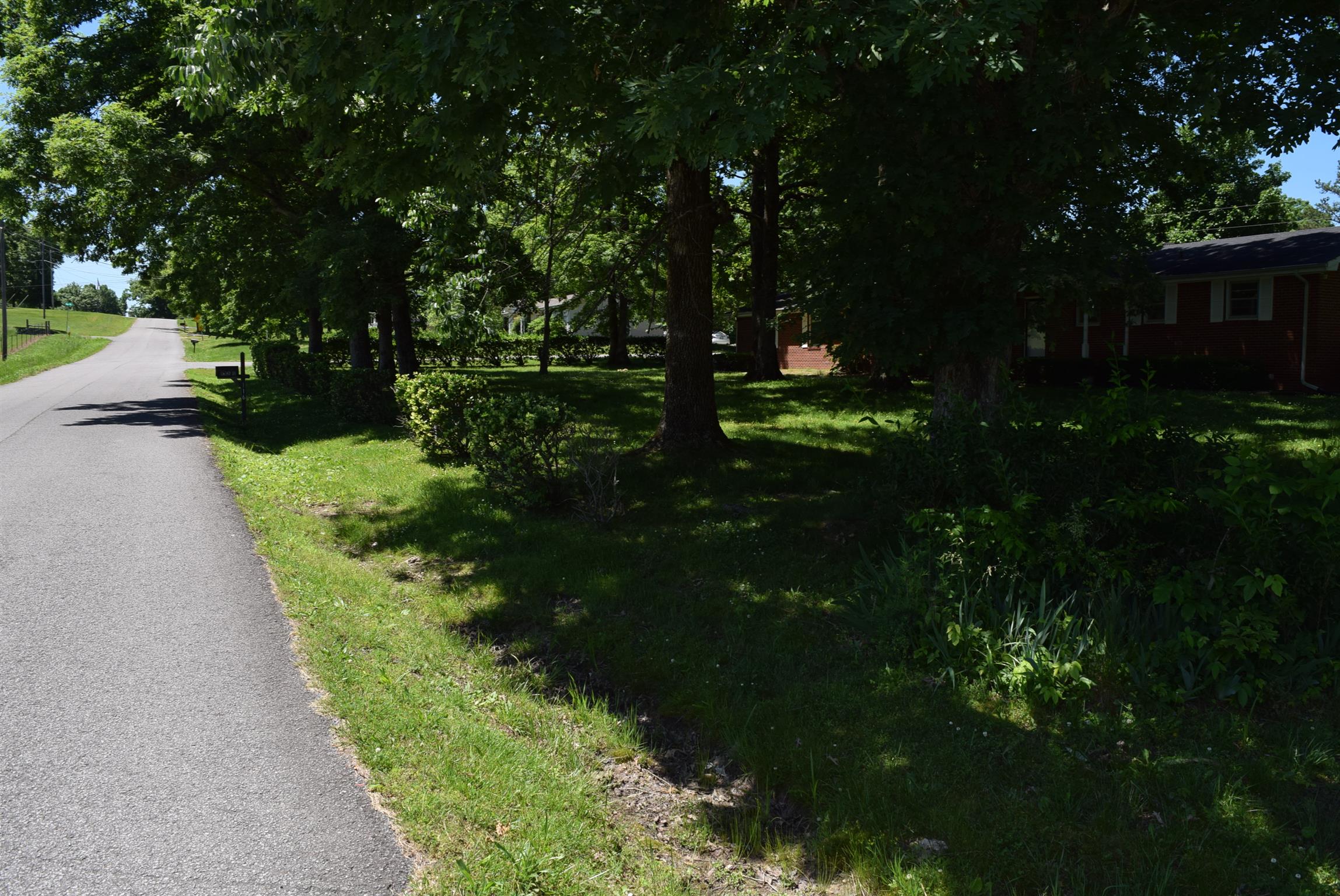 116 Black Road Dickson, TN 37055 - Photo 21 of 21 a view of a garden