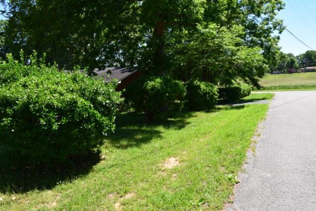 116 Black Road Dickson, TN 37055 - Photo 6 of 21 a view of yard with green space
