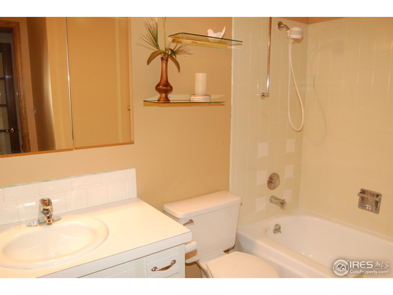 911 Gregory Road Fort Collins, CO 80524 - Photo 12 of 15 Bathroom