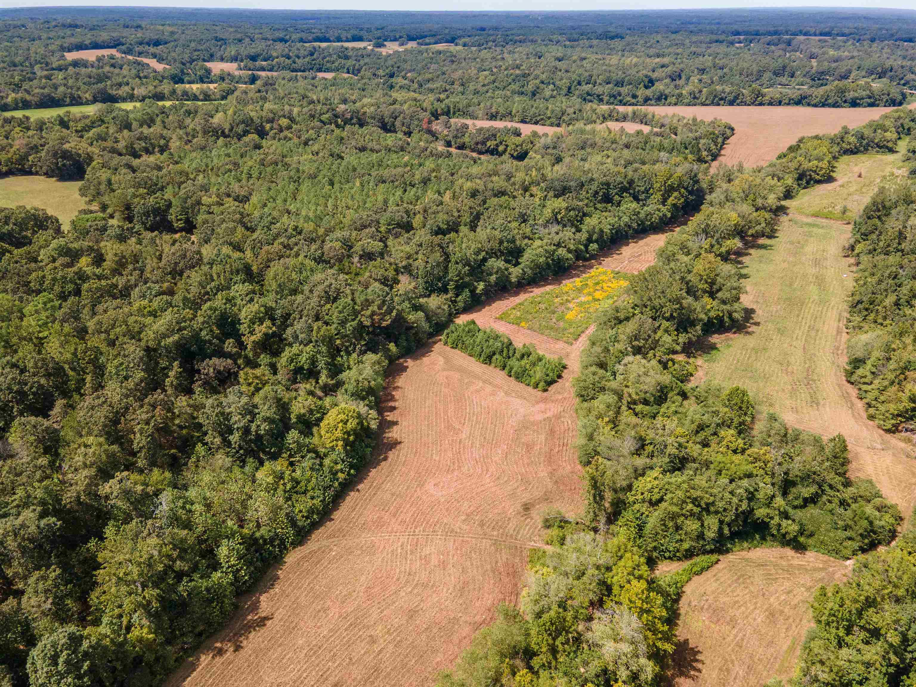 1485 Walton Road Bolivar, TN 38008 - Photo 21 of 23 Aerial view of sparsely populated area