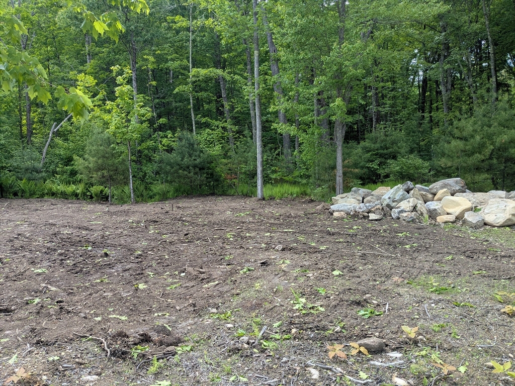 Lot 6 Old Colony Road Princeton, MA 01541 - Photo 6 of 6