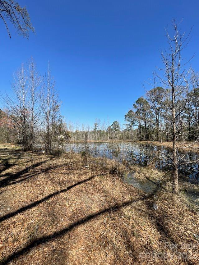 3240 Sam Jones Road Patrick, SC 29584 - Photo 3 of 35 a view of a dry yard with trees