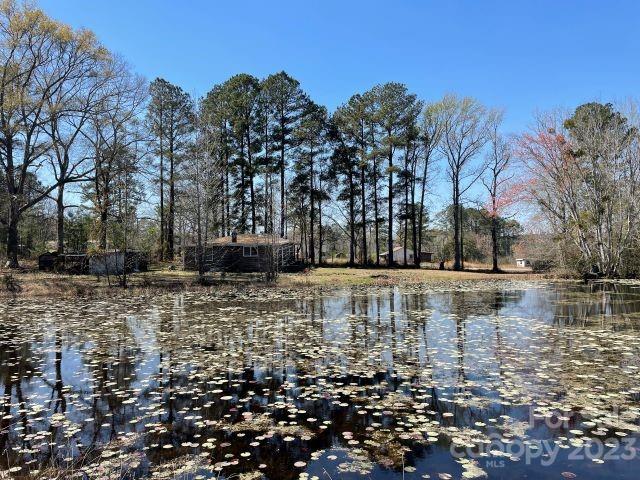 3240 Sam Jones Road Patrick, SC 29584 - Photo 6 of 35 a view of river covered with trees