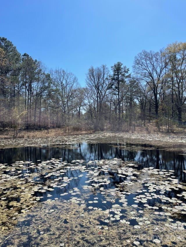 3240 Sam Jones Road Patrick, SC 29584 - Photo 10 of 35 a view of a lake with houses