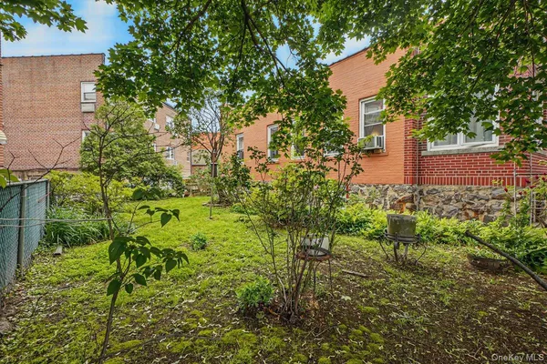 a view of a yard with plants and large trees