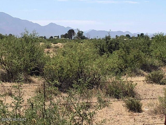 Fort Grant Road Willcox, AZ 85643 - Photo 5 of 5