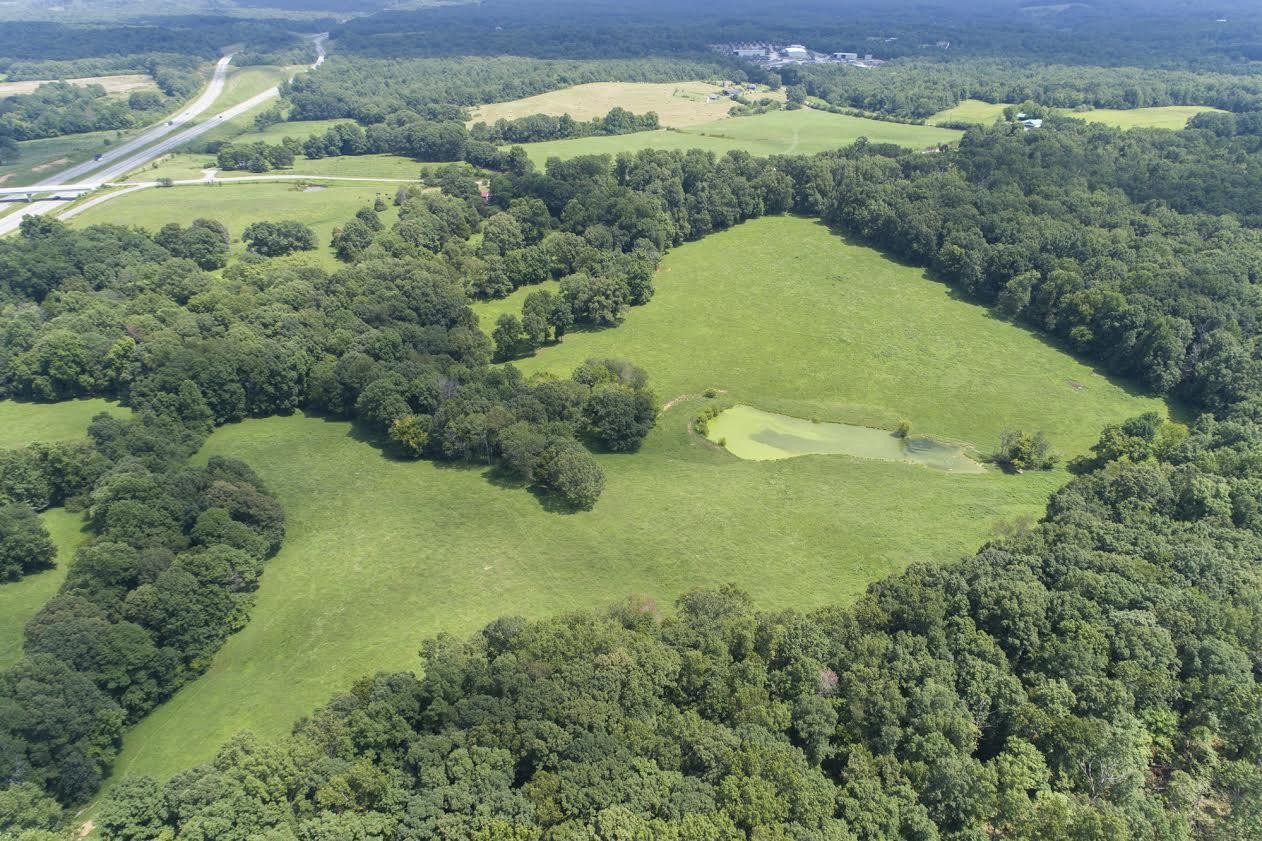 7426 Pinewood Road Franklin, TN 37064 - Photo 24 of 30 a view of a garden with a swimming pool