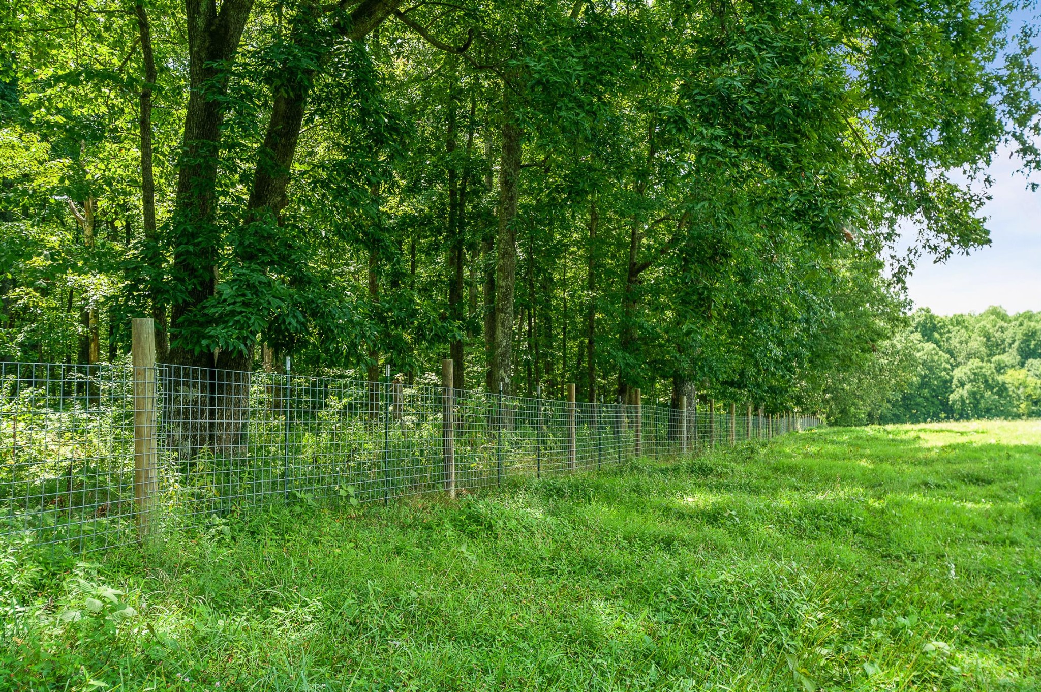 7426 Pinewood Road Franklin, TN 37064 - Photo 26 of 30 a backyard of a house with lots of green space and chair