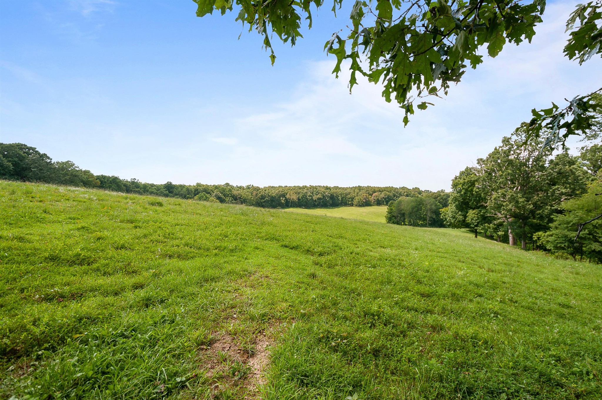 7426 Pinewood Road Franklin, TN 37064 - Photo 27 of 30 a view of a field with an ocean