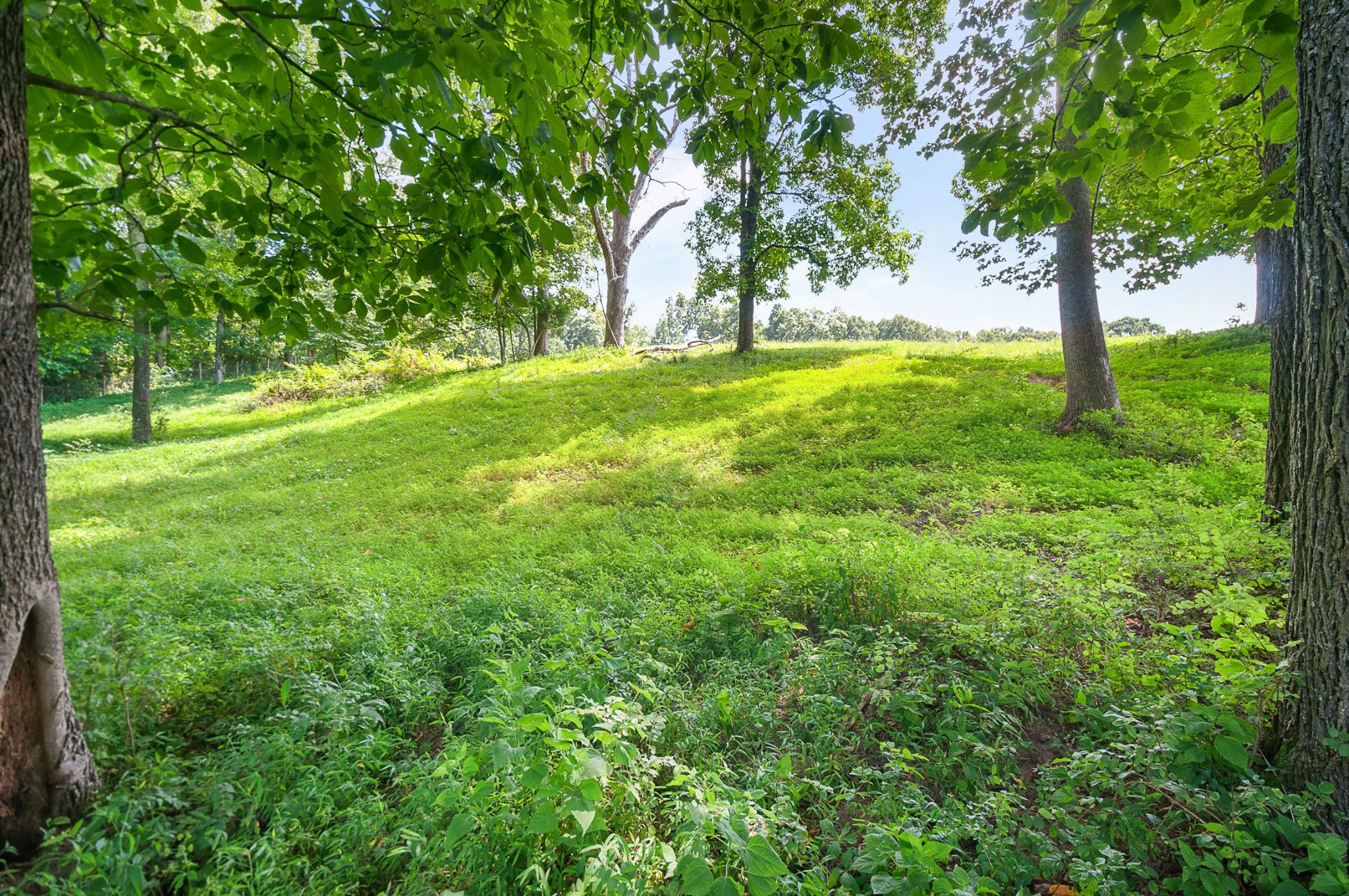 7426 Pinewood Road Franklin, TN 37064 - Photo 30 of 30 a backyard of a house with lots of green space