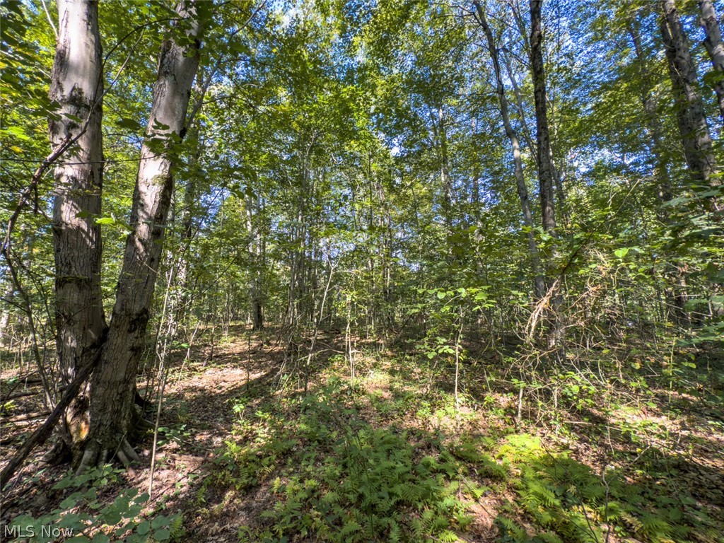 2 Shinn Road Stockport, OH 43787 - Photo 8 of 17 Gallery Image 8