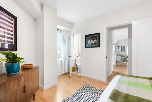 a bedroom with furniture and a potted plant