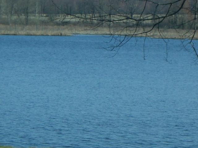 2 6 6 Mile Road Battle Creek, MI 49017 - Photo 10 of 10