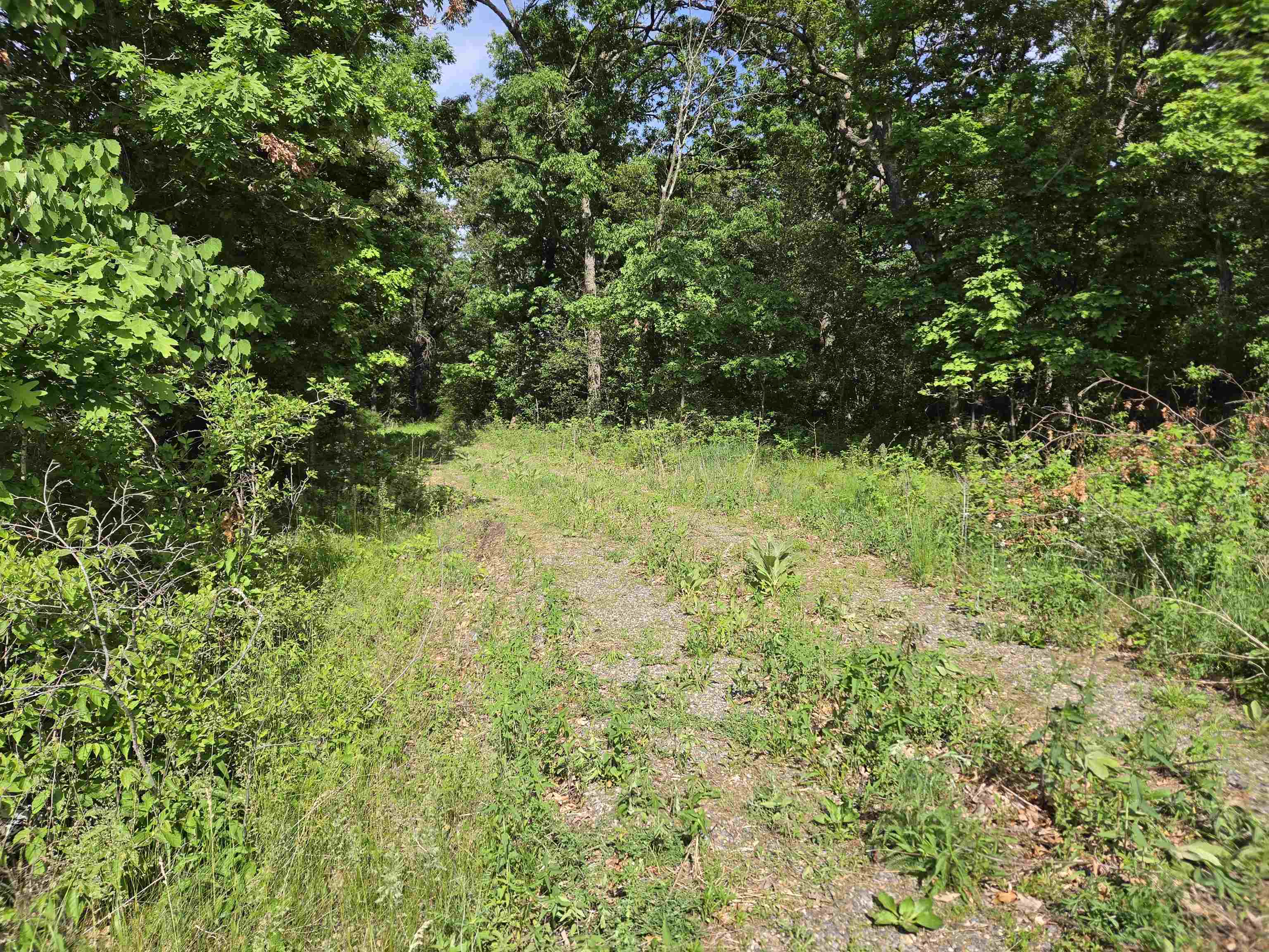 N14672 Porter Road Nekoosa, WI 54457 - Photo 39 of 51