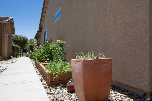 a view of potted plants on a wall