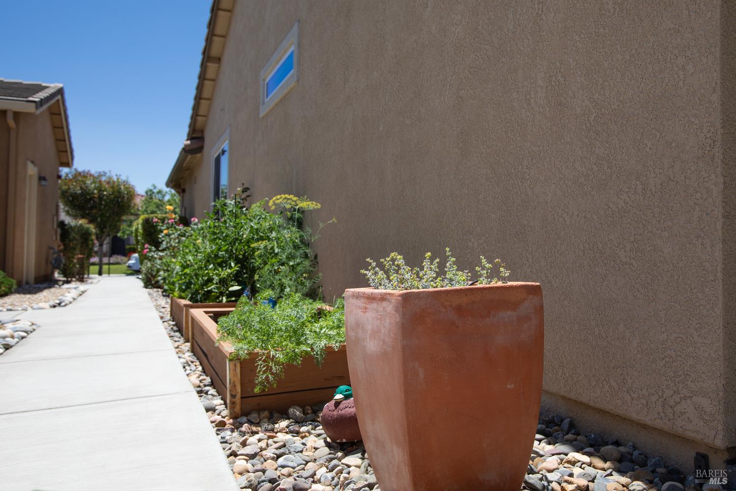 412 Spring Creek Drive Rio Vista, CA 94571 - Photo 37 of 42 a view of potted plants on a wall
