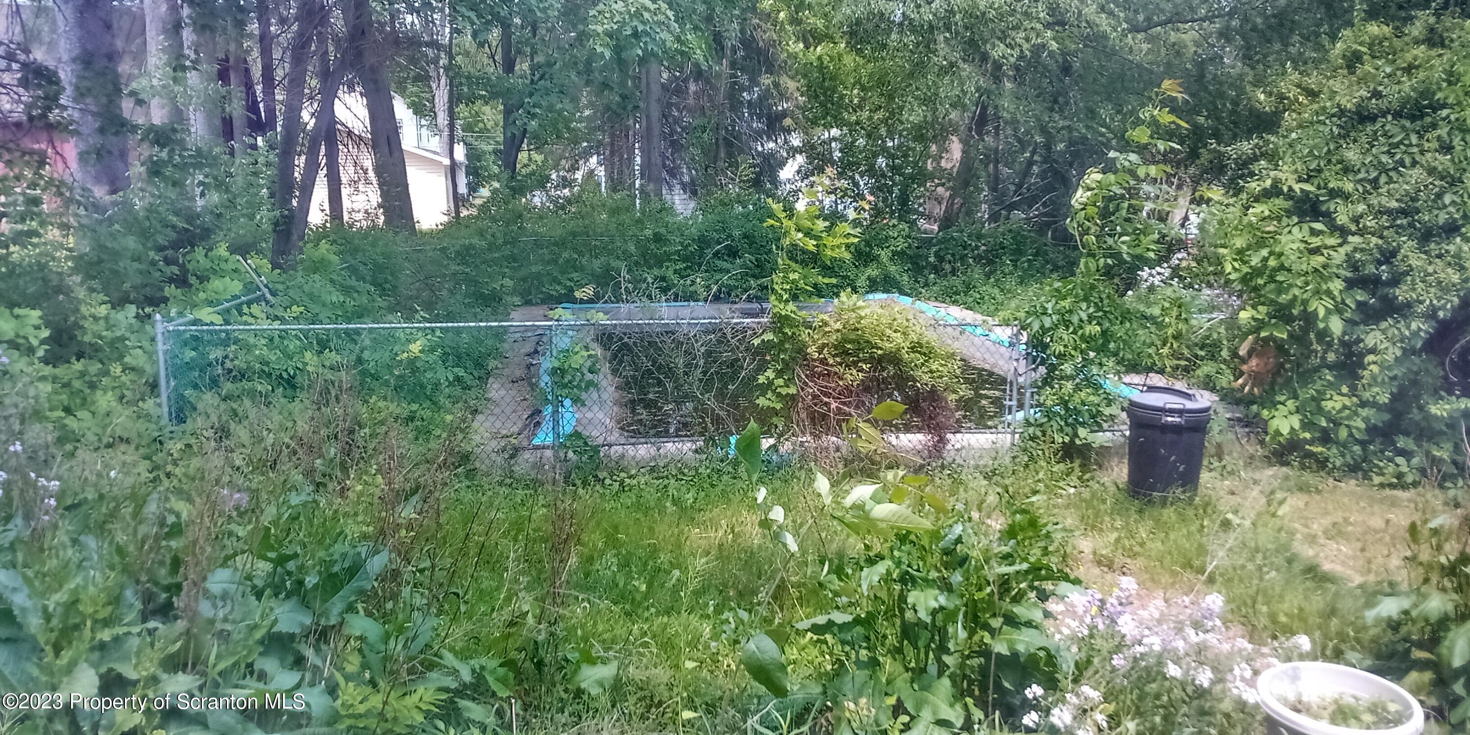 321 Maple Street Montrose, PA 18801 - Photo 8 of 28 a view of a backyard