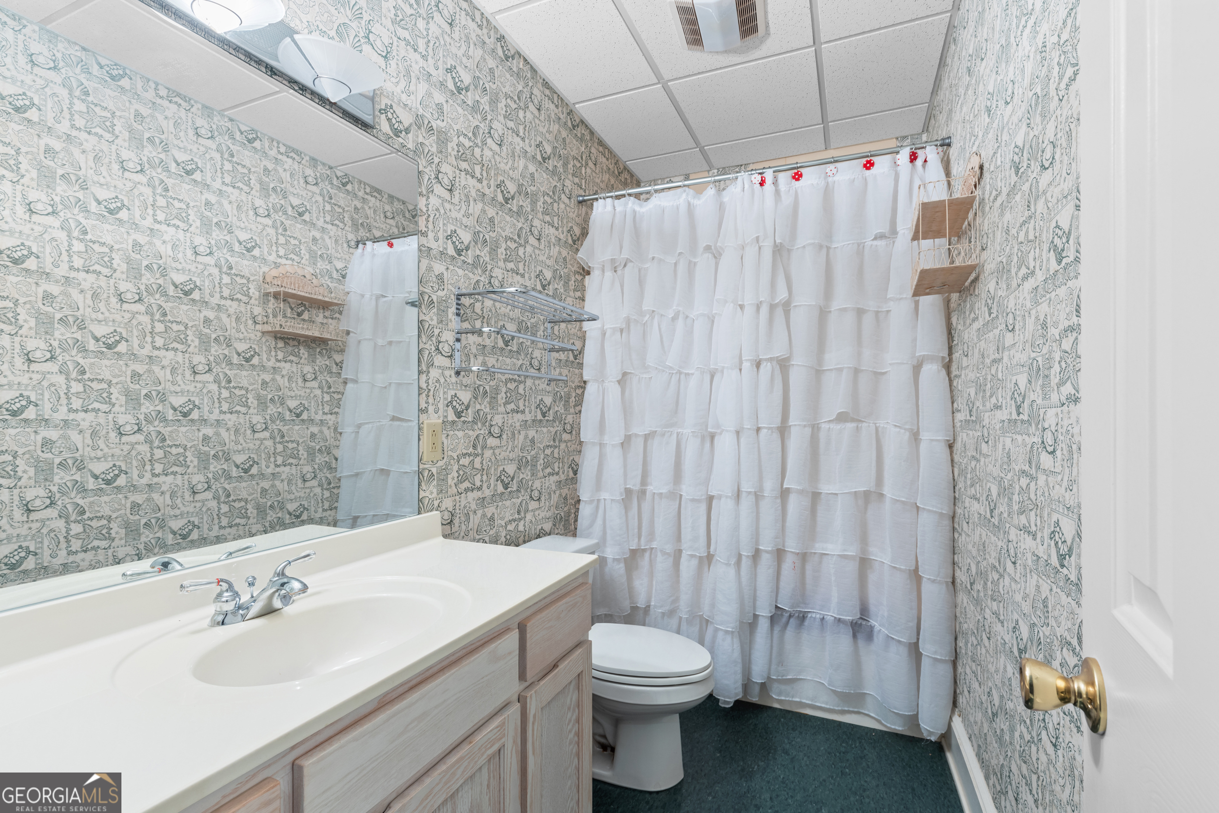 593 Cross Creek Drive Toccoa, GA 30577 - Photo 40 of 55 a bathroom with a sink and toilet