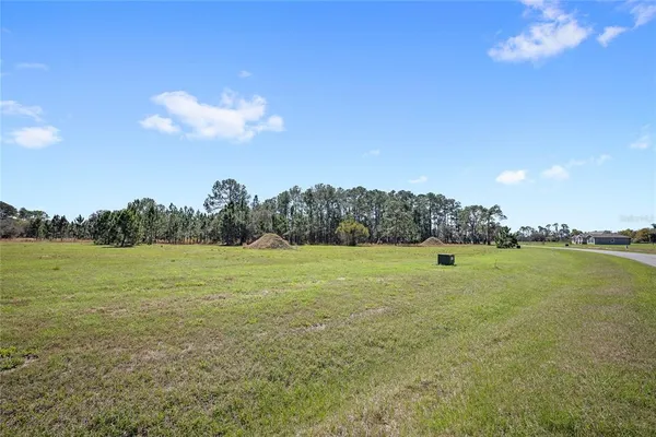 $175,000 | 38514 Wooded Meadow Drive, Umatilla, FL 32784