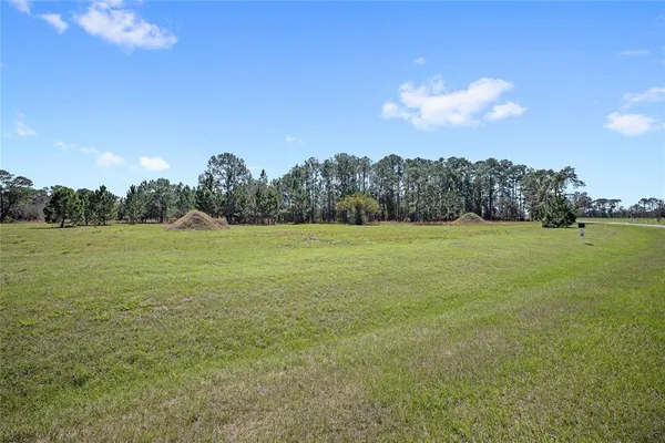 $175,000 | 38514 Wooded Meadow Drive, Umatilla, FL 32784