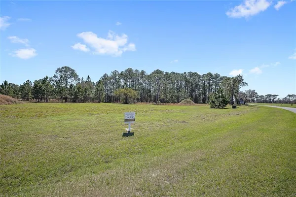 $175,000 | 38514 Wooded Meadow Drive, Umatilla, FL 32784