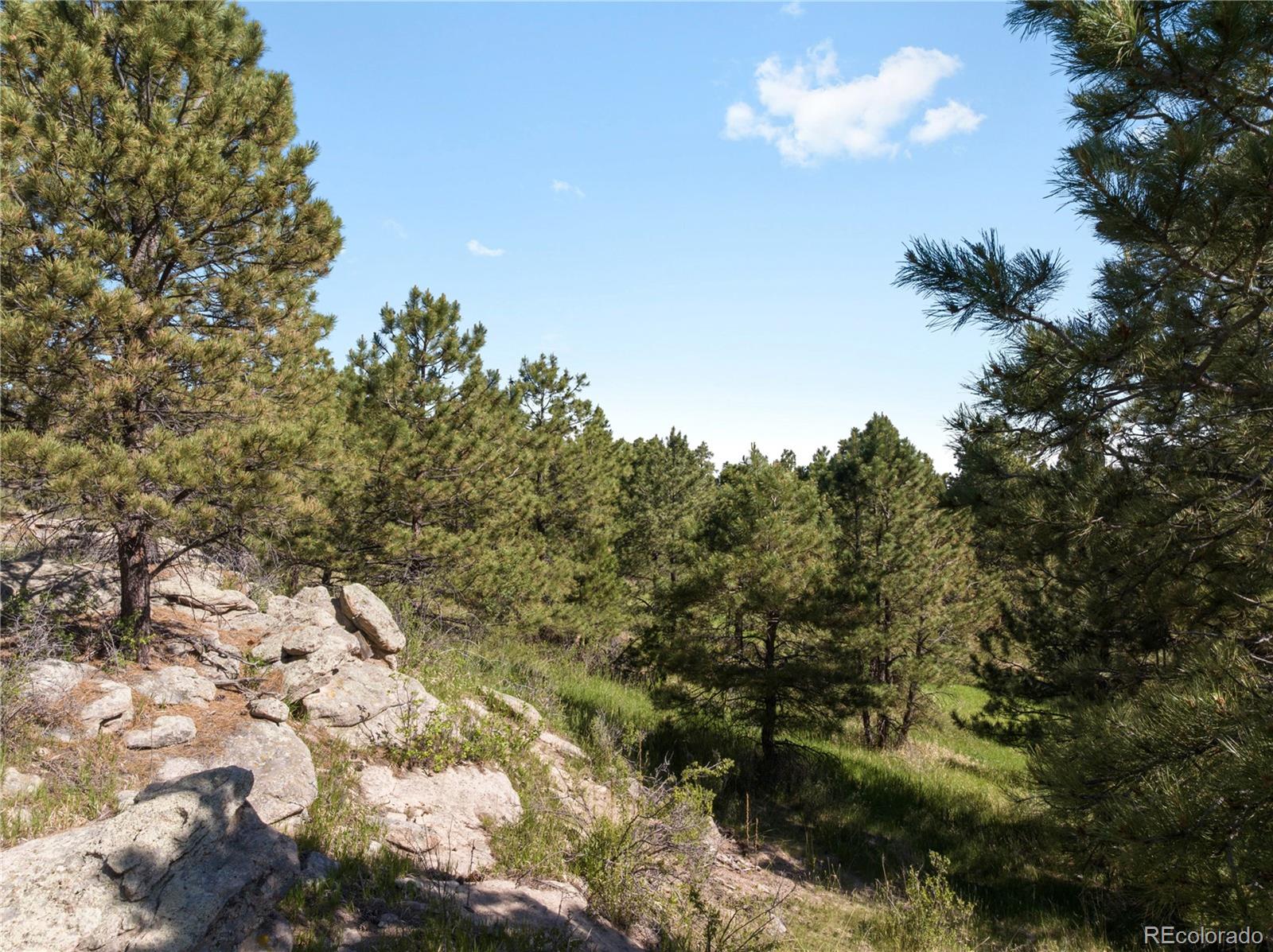 18673 North Elbert Road Elbert, CO 80106 - Photo 4 of 21