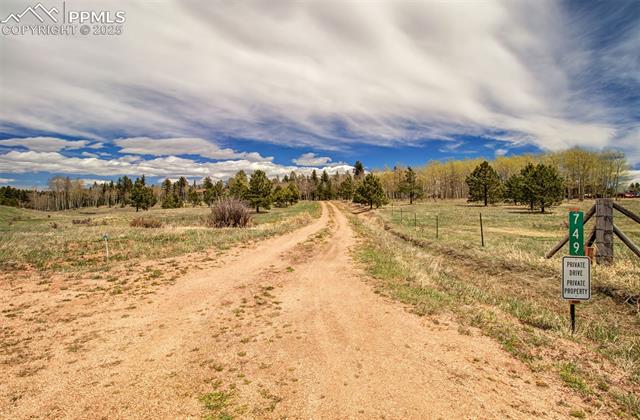 749 Aspen Village Road Divide, CO 80814 - Photo 8 of 49 Driveway to home in the trees