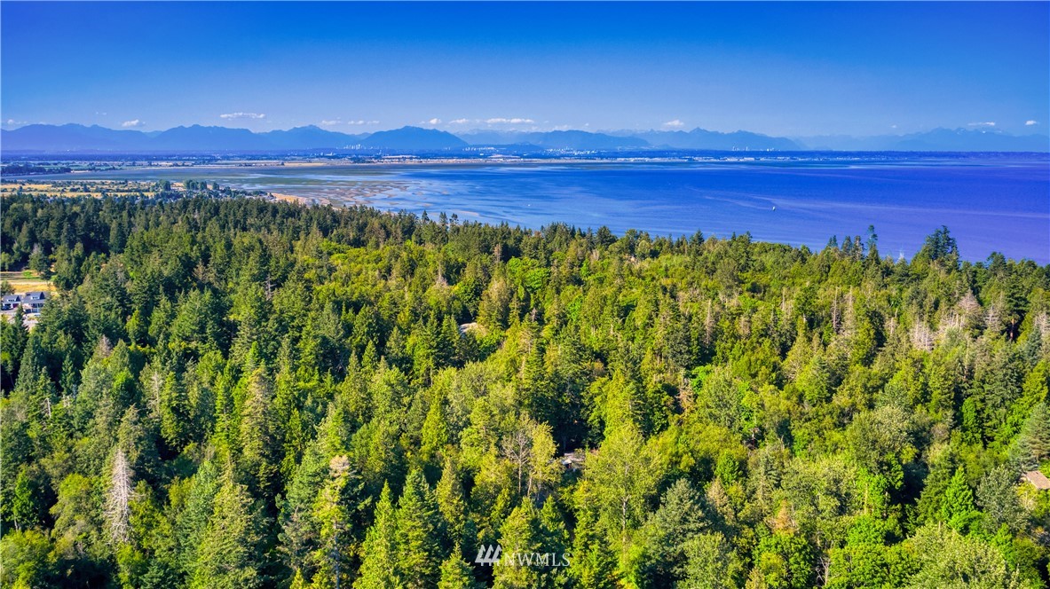2172 Foxhole Road Point Roberts, WA 98281 - Photo 40 of 40 a view of a lush green forest with a houses