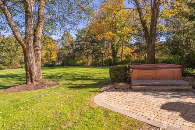 a view of a trees in a yard